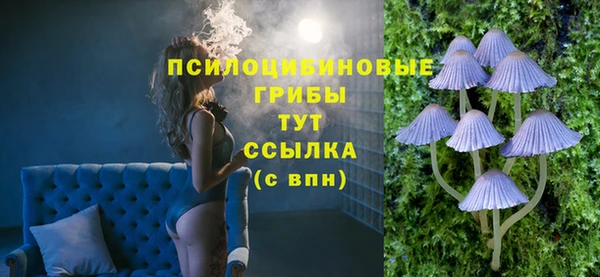 твердый Алексин