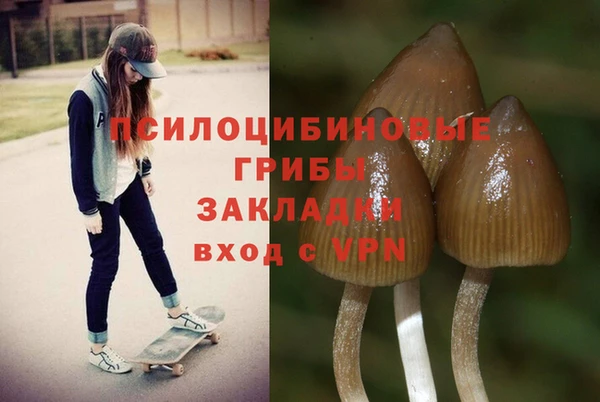 кристаллы Алзамай